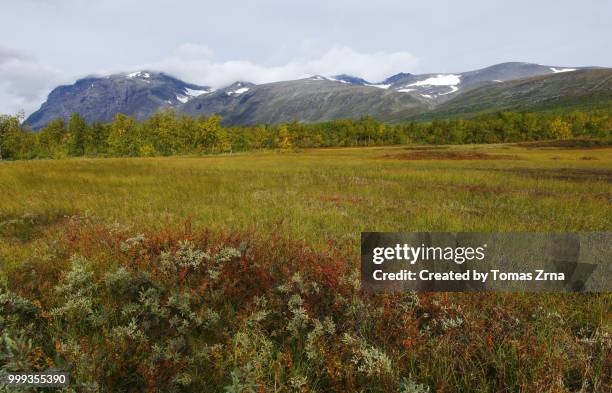 autumn landscape of the remote rapadalen valley - norrbotten province stock pictures, royalty-free photos & images