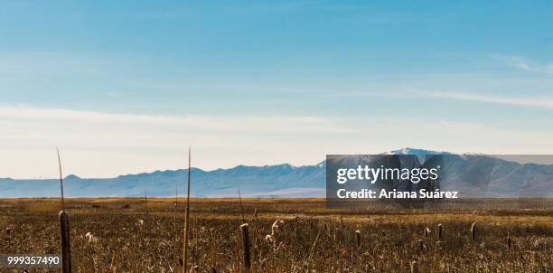 salt lake city, utah - ariana 個照片及圖片檔