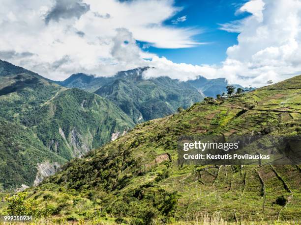 baliem valley, papua indonesia - baliem valley stock pictures, royalty-free photos & images
