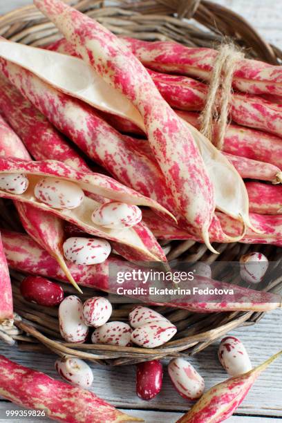pinto beans with pods on a wooden table - borlotto bean stock pictures, royalty-free photos & images