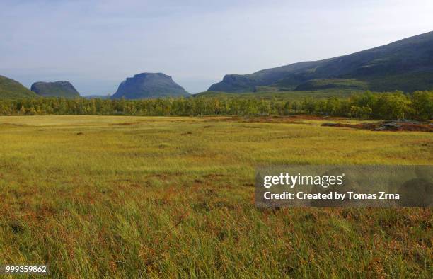 autumn landscape of the remote rapadalen valley - norrbotten province stock pictures, royalty-free photos & images