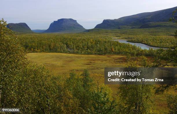 autumn landscape of the remote rapadalen valley - norrbotten province 個照片及圖片檔