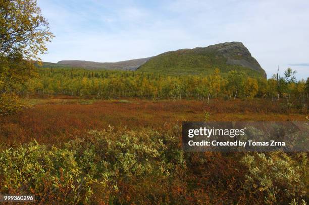 autumn landscape of the remote rapadalen valley - norrbotten province stock pictures, royalty-free photos & images