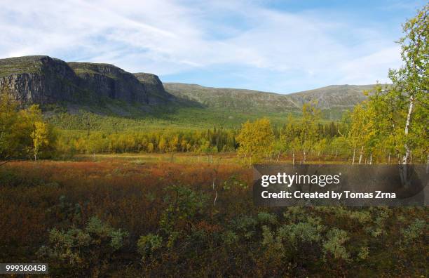 autumn landscape of the remote rapadalen valley - norrbotten province stock pictures, royalty-free photos & images