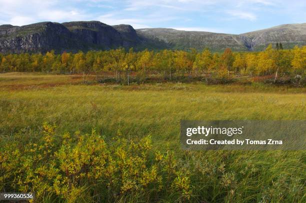 autumn landscape of the remote rapadalen valley - nationalpark sarek stock-fotos und bilder