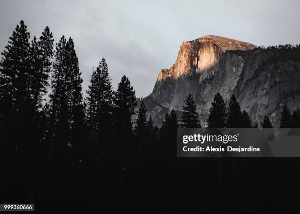 sunset on half dome thru trees - mariposa county stock pictures, royalty-free photos & images