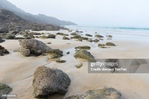 longchamps beach in the fog - docteur stock pictures, royalty-free photos & images