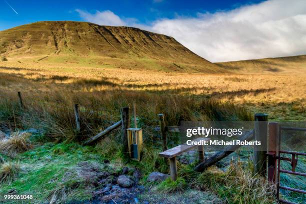 the mountain of craig y fan ddu in the brecon beacons, wales - powys stockfoto's en -beelden