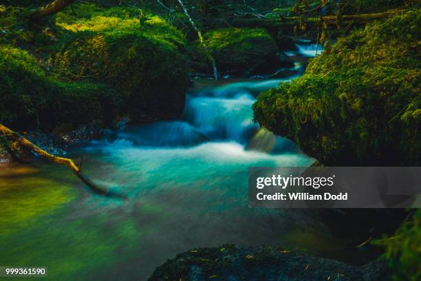 downstream from ramona falls - ramona stock pictures, royalty-free photos & images