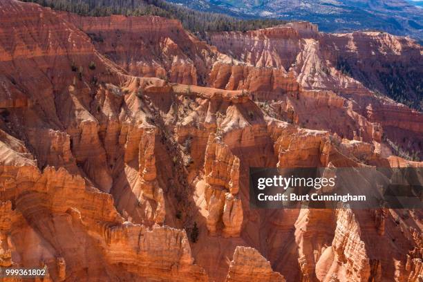 cedar breaks hoodoos - cedar stock pictures, royalty-free photos & images