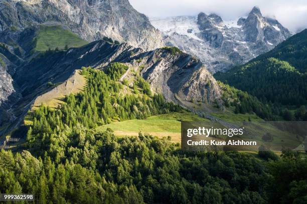 mountain pasture - la grave - la grave stock-fotos und bilder