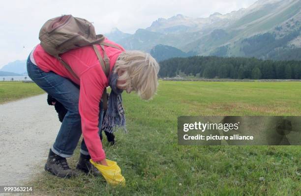 Picture of Christa Alder picking up the waste of her dog Henry, taken at a meadow near Sils lake in the canton of Graubunden, Switzerland, 21 July...