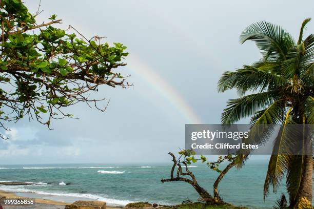 beach scene with rainbow in puerto rico - rainbow beach stockfoto's en -beelden