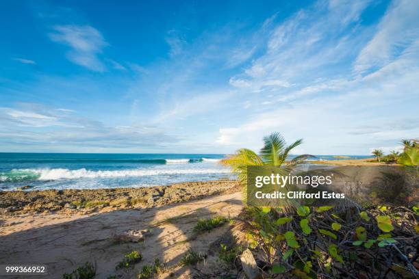 puerto rico beach scene - puerto stock-fotos und bilder