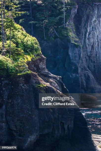 cape flattery - cape flattery 個照片及圖片檔