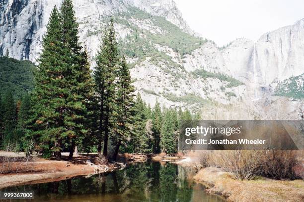 yosemite valley - forrest wheeler stockfoto's en -beelden