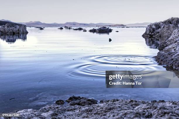 blue hour - hanna stockfoto's en -beelden