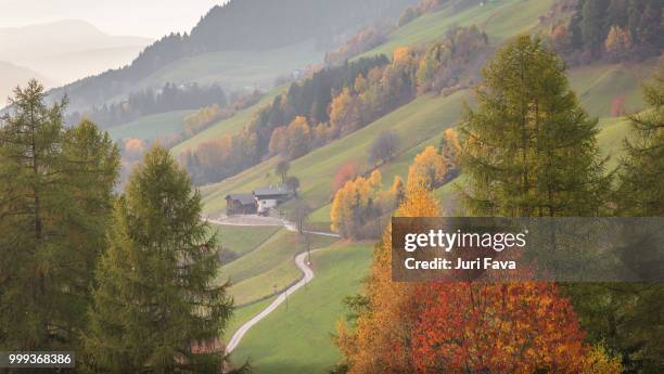 strada autunnale - strada 個照片及圖片檔