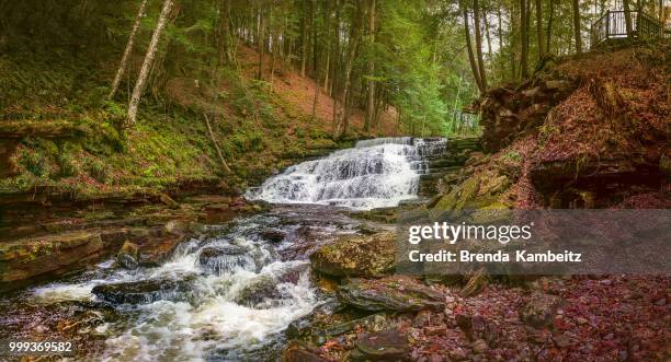 water falls in the adirondack state park, new york - branda stock pictures, royalty-free photos & images