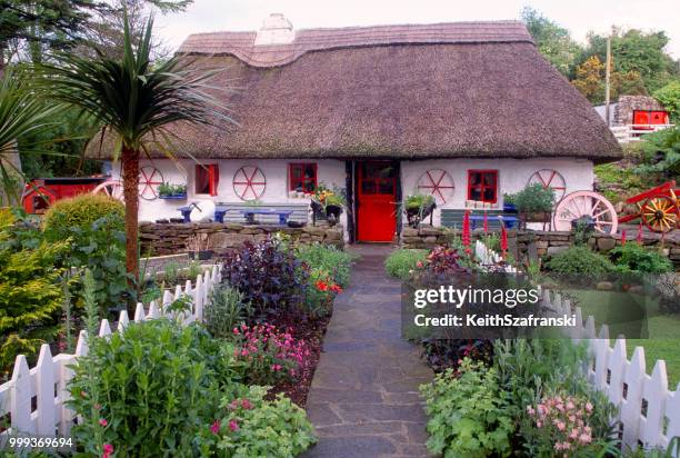 down the garden path - irland - look down stock-fotos und bilder