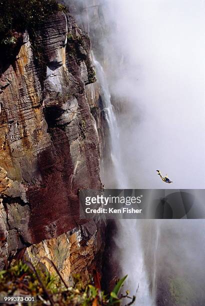 man base jumping off angel falls, venezuela - angel falls fotografías e imágenes de stock