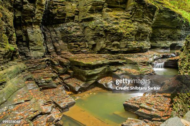 watkins glen - watkins stock pictures, royalty-free photos & images