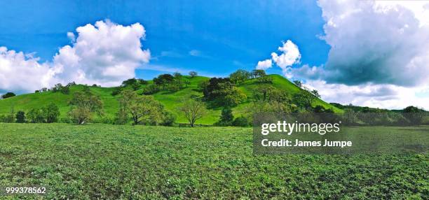 danvilleca - danville stock pictures, royalty-free photos & images