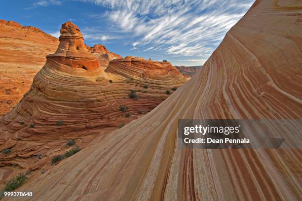 coyote buttes - coyote - fotografias e filmes do acervo