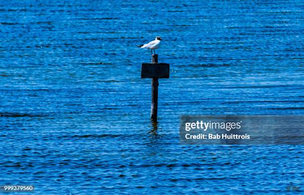 le bois-plage-en-ré,france - bois stock-fotos und bilder