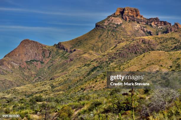 a look across the rolling hillsides to panther peak in the chisos mountains - chisos mountains stock pictures, royalty-free photos & images