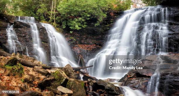 soco falls, nc - lea stock pictures, royalty-free photos & images