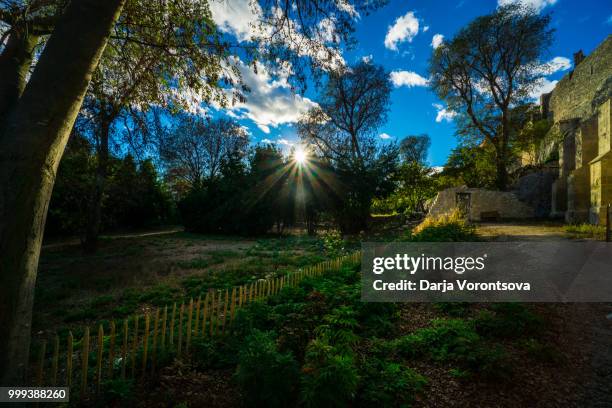 abbaye de montmajour - abbaye stock-fotos und bilder