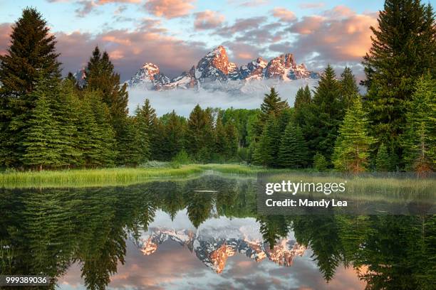 wyoming - lea stock pictures, royalty-free photos & images