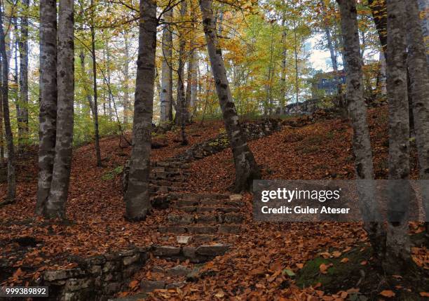 eğerci,turkey - middle east - east branch stock pictures, royalty-free photos & images