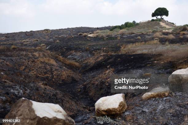 July 15, 2018: A field burnt by an incendiary kite near the Southern city of Sderot, located near the Israel-Gaze border as a cease-fire holds after...