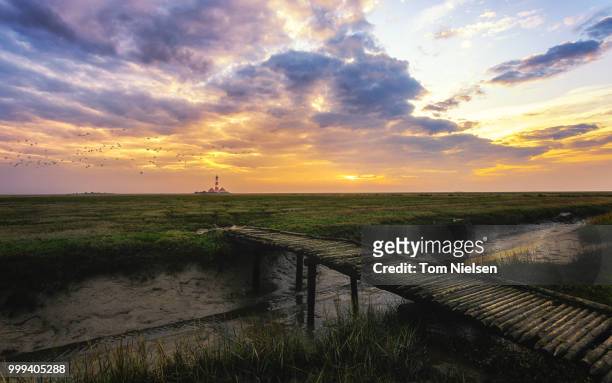 wooden bridge at westerhever - nielsen stock pictures, royalty-free photos & images