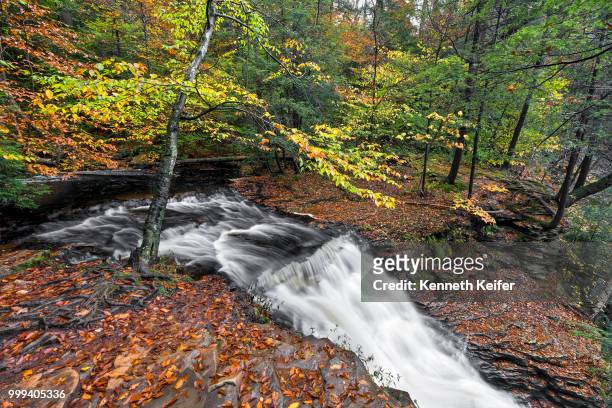 above ganoga falls - keiffer stock pictures, royalty-free photos & images