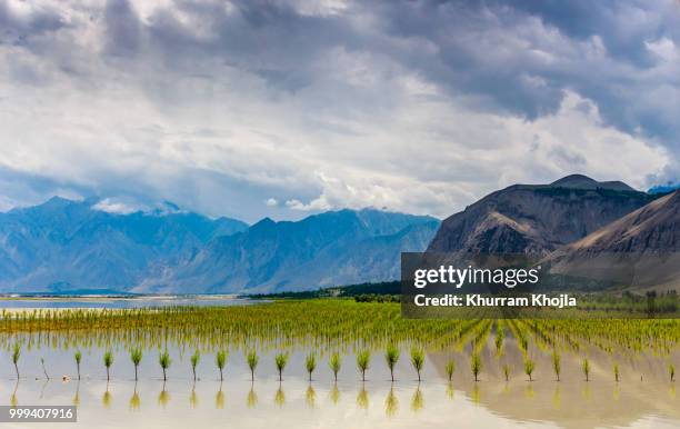 skardu valley - skardu stock-fotos und bilder