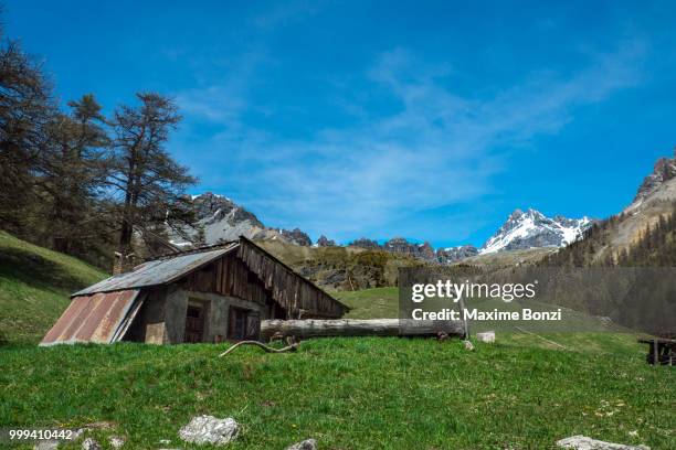 chalet au dessus de soulier - bonzi tree stock pictures, royalty-free photos & images