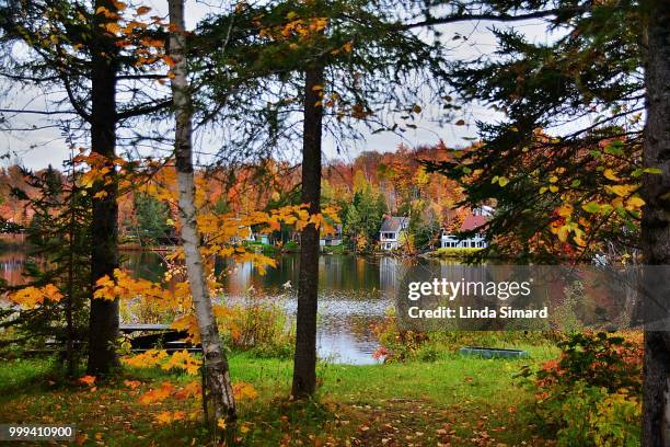 au bord du lac - lac fotografías e imágenes de stock