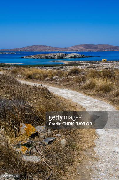a path in greece - sandy taylor stock pictures, royalty-free photos & images