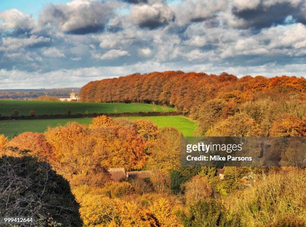 autumn in winchester 1 - mike parsons stock pictures, royalty-free photos & images