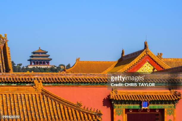 forbidden city - forbidden city imagens e fotografias de stock