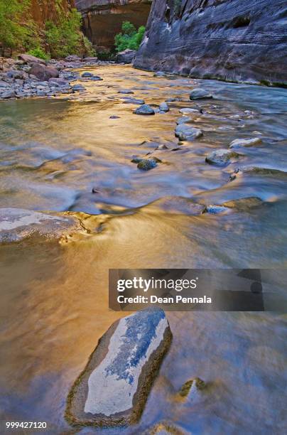 virgin river narrows - virgin river stock pictures, royalty-free photos & images