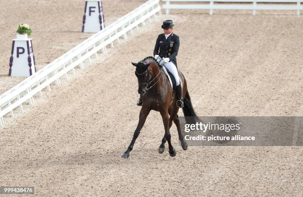 German dressage rider Dorothee Schneider and horse Sammy Davis in action during the freestyle dressage grand prix of the FEI European Championships...