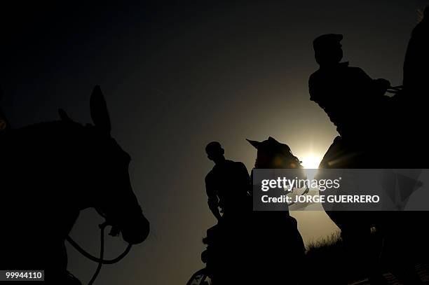 Pilgrims ride on route to the shrine of El Rocio in Donana national park during the annual El Rocio pilgrimage, 18 May 2010 in Sanlucar de Barrameda,...