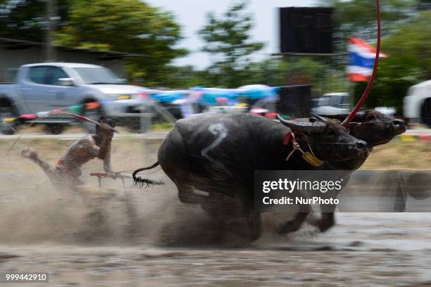 Thai farmer competes in the Water Buffalo Racing Festival in Chonburi province, Thailand, July 15, 2018.