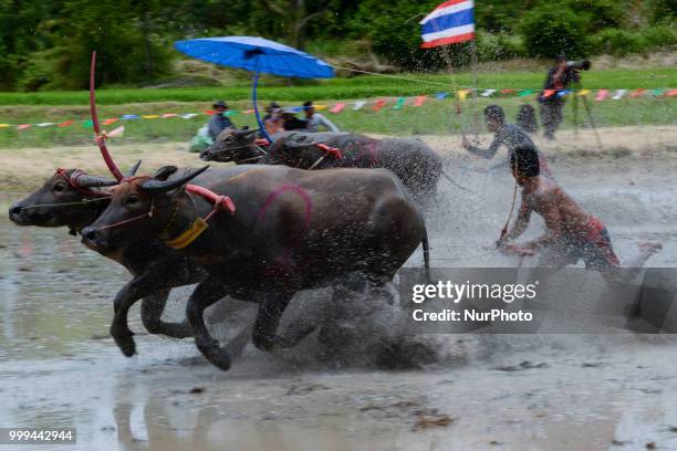 Thai farmer competes in the Water Buffalo Racing Festival in Chonburi province, Thailand, July 15, 2018.