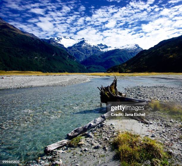 All Rees A Rees Photos and Premium High Res Pictures - Getty Images