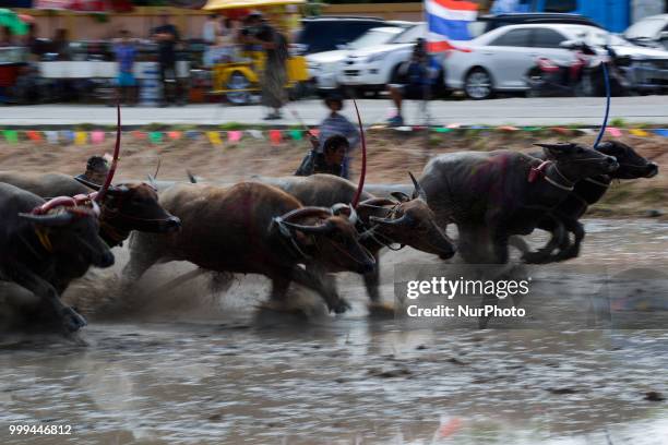 Thai farmer competes in the Water Buffalo Racing Festival in Chonburi province, Thailand, July 15, 2018.